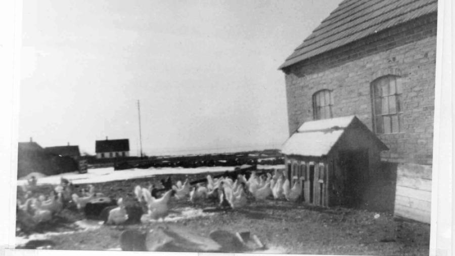 Hönshuset. Bild från 1917. Byggdes sedan om till arrendatorsbostad. Revs 1986.